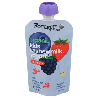 Forager Project Yogurt Cashew Milk Berry Kid 8/3.2 Fz [UNFI #14737]