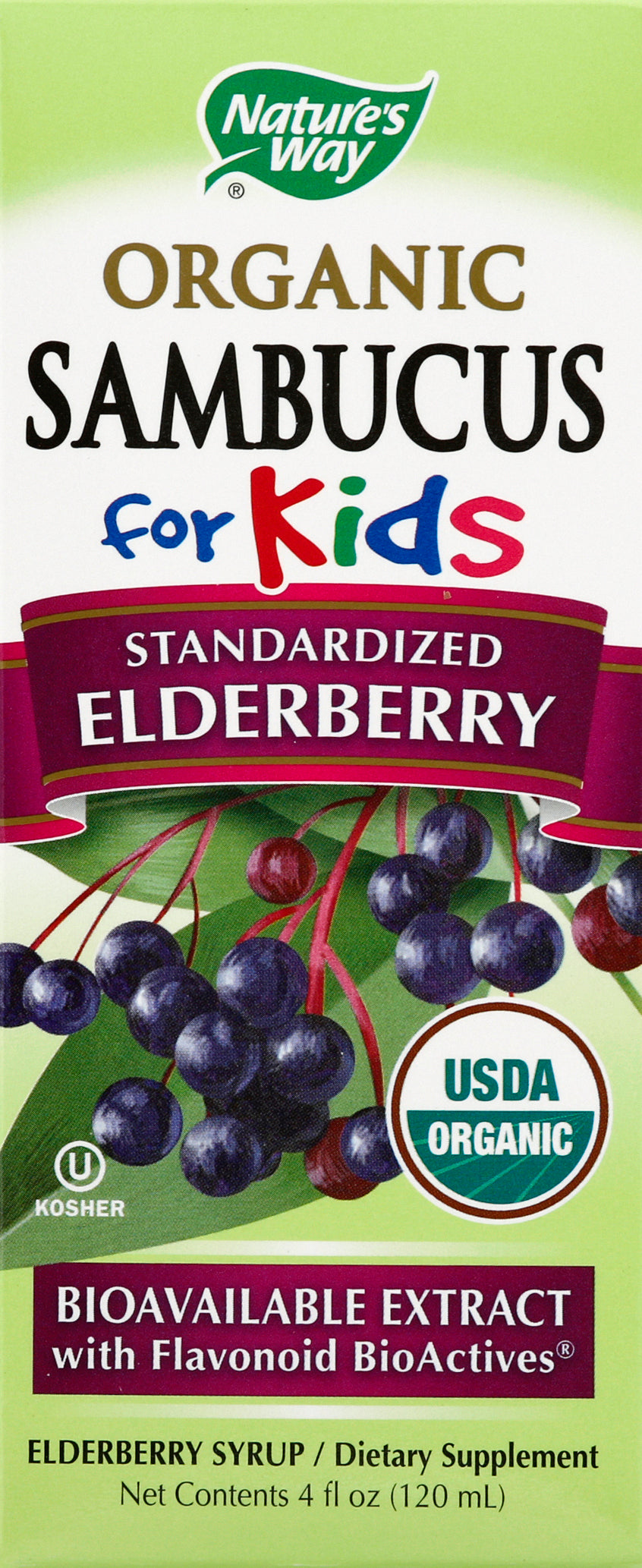 Natures Way Elderberry Syrup Kids 4 Oz [UNFI #46727] T