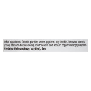Irwin Naturals Ginkgo Smart Max Focus 60 Sgel [UNFI #58266] T