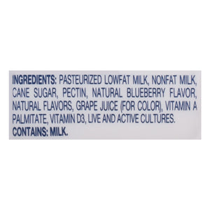 Lifeway Blueberry 6/8 Oz [UNFI #02095]
