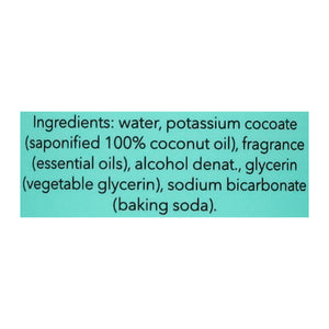 Zum Sea Salt All Purpose Cleaner 6/16 Oz [UNFI #71545] T