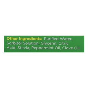 Herbion Naturals Throat Syrup Sugar Free 5 Oz [UNFI #75997] T
