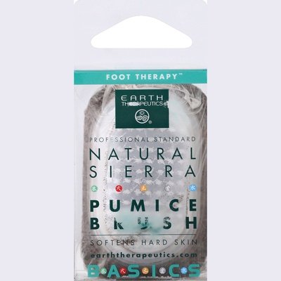 Earth Therapeutics Stone W/Brush 1 Ea [UNFI #86834] T