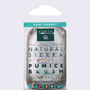 Earth Therapeutics Stone W/Brush 1 Ea [UNFI #86834] T