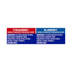 Gogo Squeez Strawberry Blueberry Yogurt 1/20 Ct [UNFI #22703]