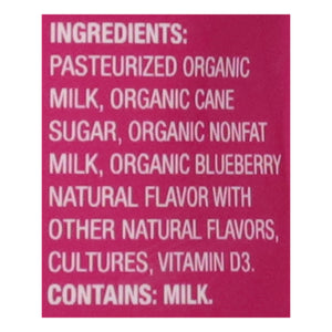 Lifeway Goo-Berry Single Serve 12/3.5 Oz [UNFI #41913]