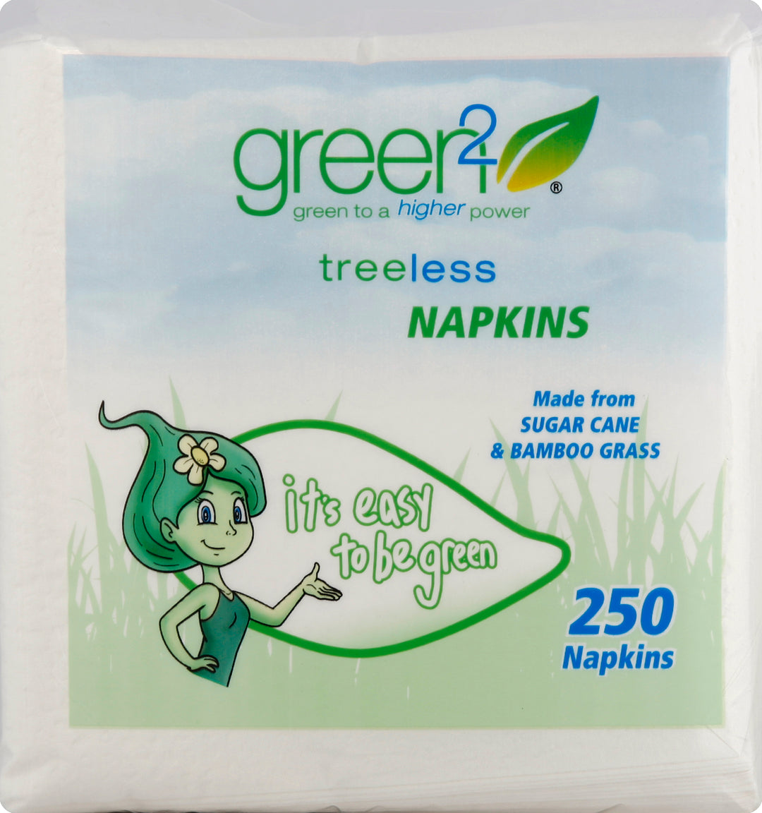 Green 2 Lunch Napkins 16/250 Ct [UNFI #56784] T