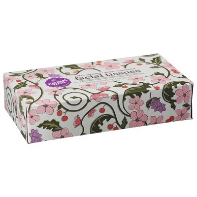Natural Value Facial Tissue 2-Ply 30/100 Ct [UNFI #60394] T