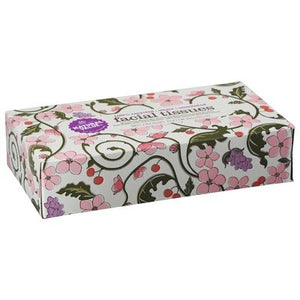 Natural Value Facial Tissue 2-Ply 30/100 Ct [UNFI #60394] T