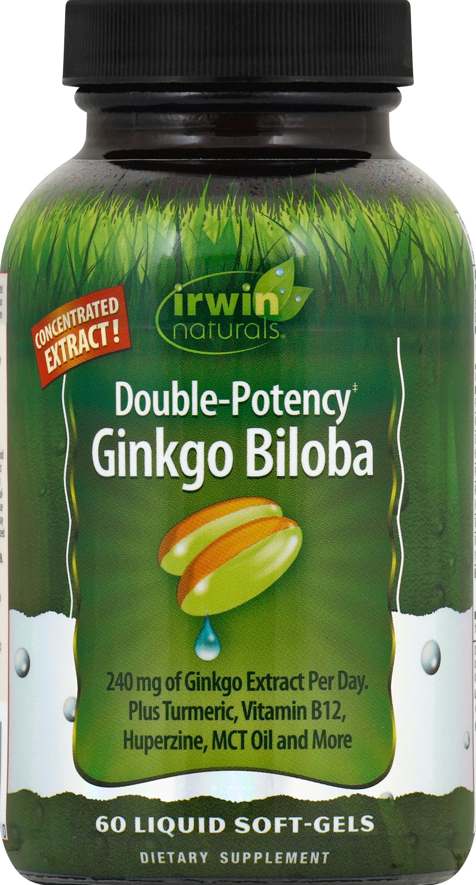 Irwin Naturals Double-Potency Ginkgo Biloba 60 Sgel [UNFI #58502] T
