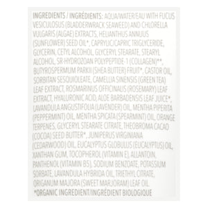 Seaweed Bath Co Awaken Collagen Hand Cream 2 Oz [UNFI #11500] T