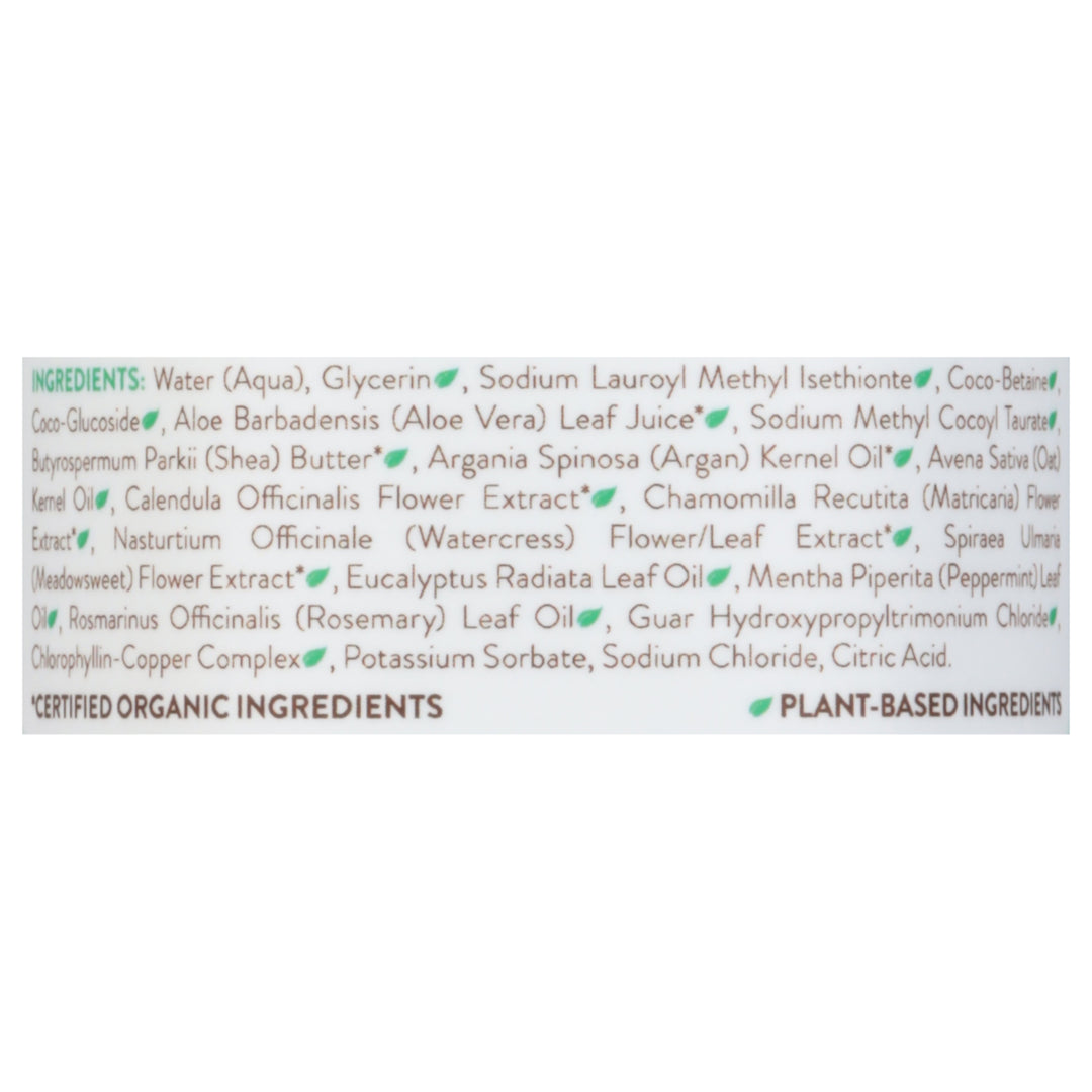 Babo Botanicals Eucalyptus Remedy Shampoo 15 Oz [UNFI #09418] T